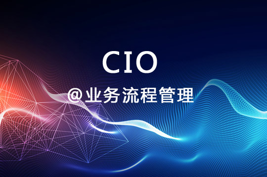CIO是业务流程管理主要推动者
