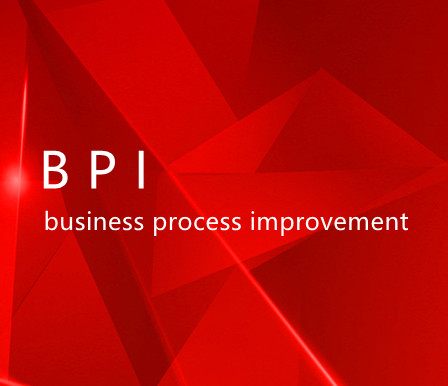 业务流程改进（BPI）