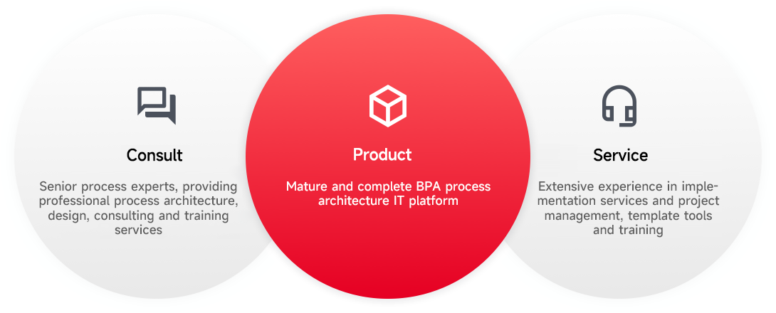 Process consulting + BPA process platform + implementation services