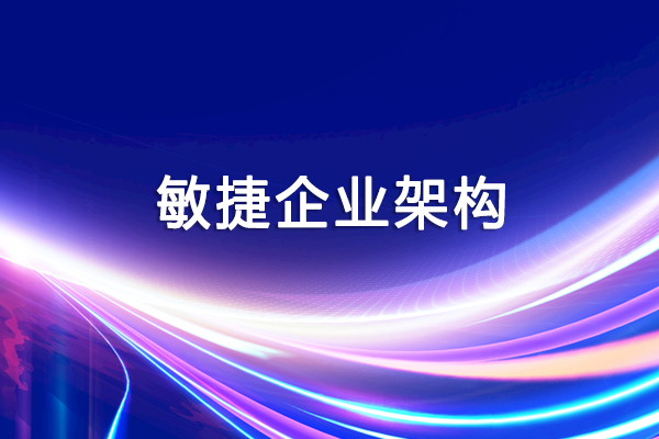 敏捷企业架构—从面向服务的架构到互操作性的架构