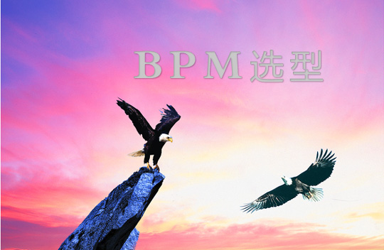 BPM选型:不同类型客户选择不同的BPM软件