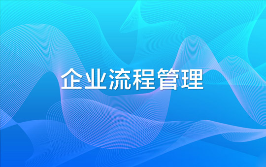 CIO职业轨迹：偏向企业流程管理