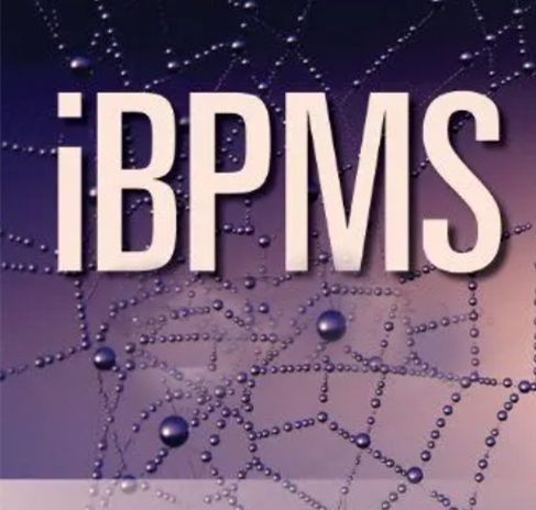 iBPMS平台的功能详解