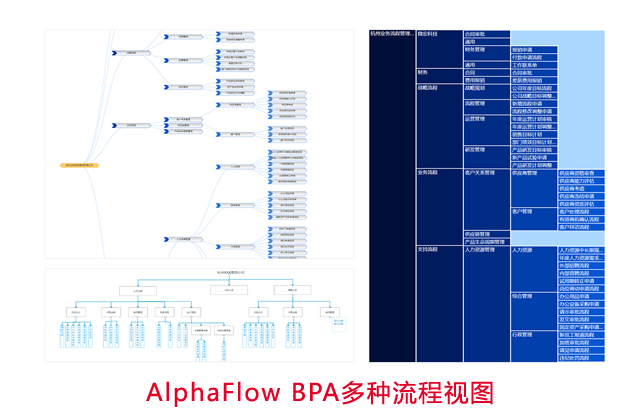 AlphaFlow BPA多种流程视图