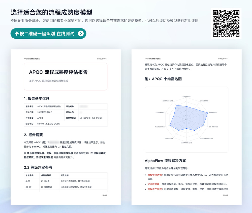 成熟度报告1
